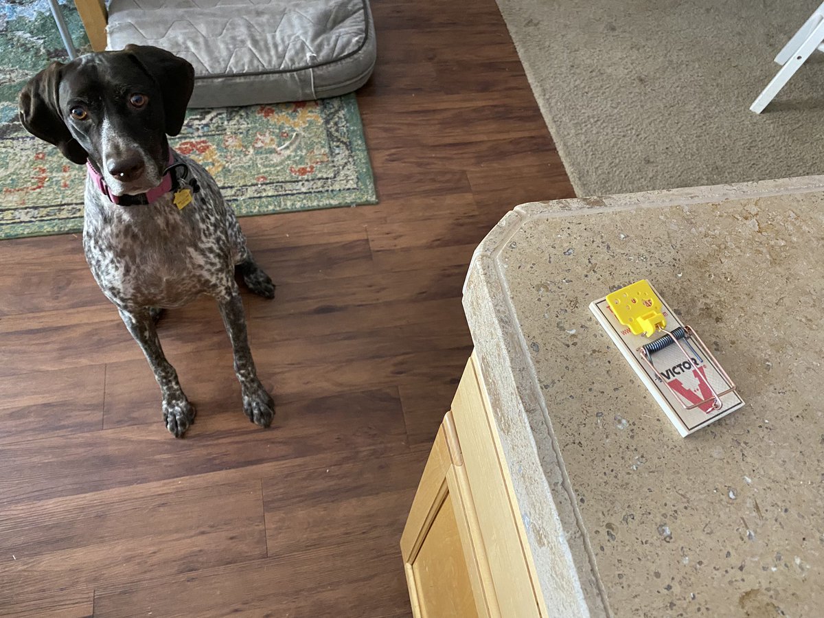 ControlledDeorbiting tweet media