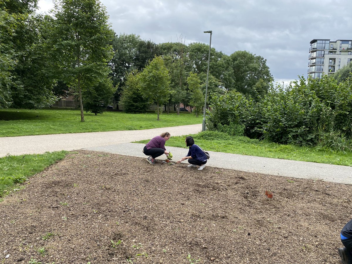 Heybournepark's tweet photo. πͺ΄π³π#GrahamePark #Communitygardening The new #Communityplot is starting to shape nicely, but more work to be done!
We are continuing this Friday 27 August at 12noon Welcome to join/help us and/or drop by for a chat! https://t.co/hR97Gt5VEE