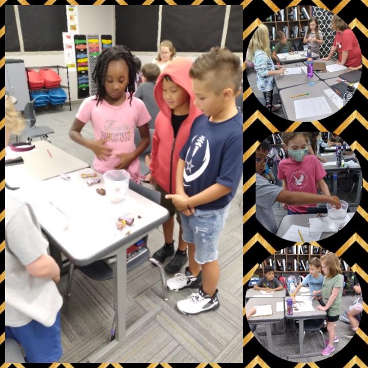 Elizabeth Fox tweet media