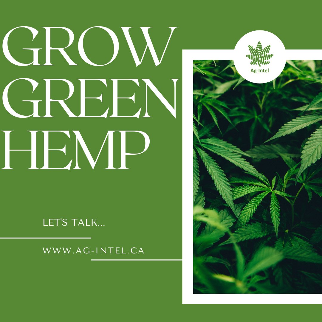 Growing hemp is the best way to transition away from fossil fuels. Fracking is poisoning our water and leaking methane into the atmosphere. The industrial hemp plant provides a clean-burning fuel that contains no sulphur. 

ag-intel.ca/schedule-a-cal…