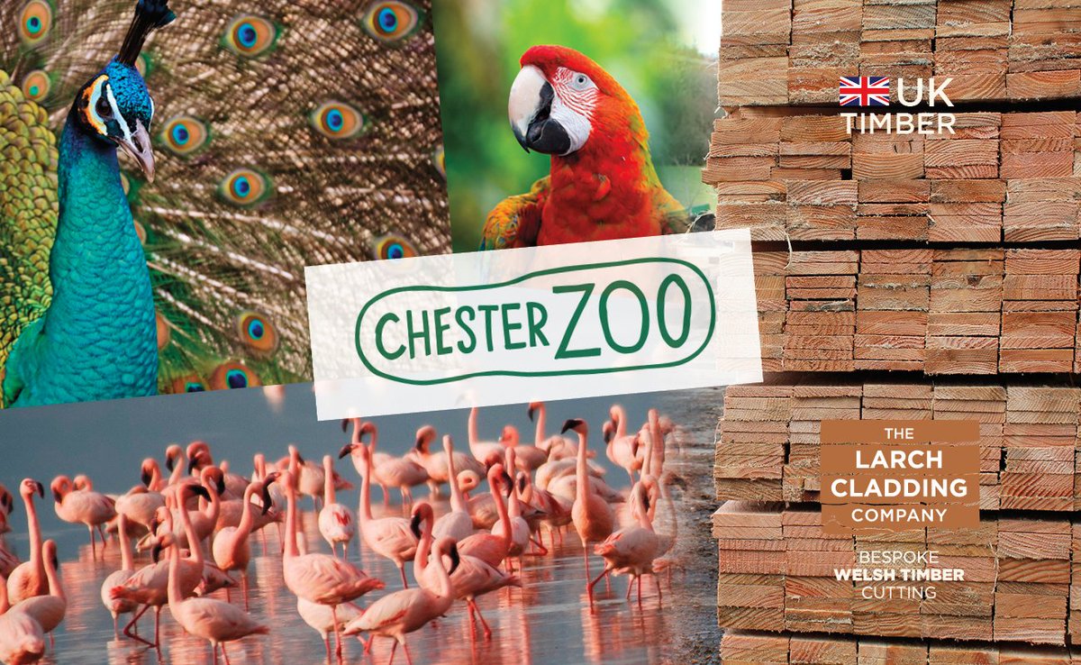 larch_co's tweet image. Honoured to be supplying the awesome @chesterzoo with timber for their bird habitats. They do amazing conservation work. 
#chesterzoo #BuildABeautifulWorld #WelshTimber #UKTimber