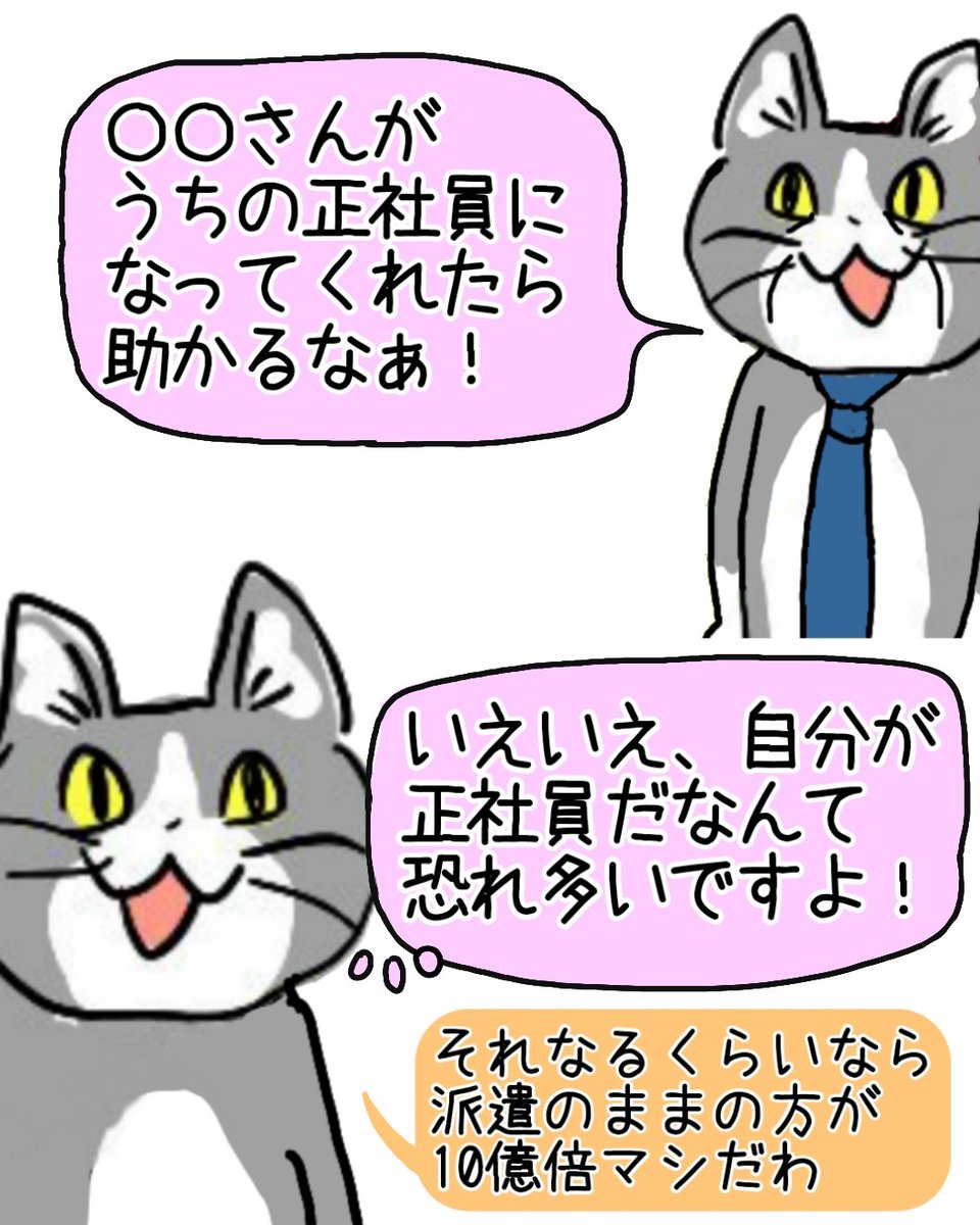 内情を知りすぎてしまい、正社員に誘われても逃げる派遣猫 #現場猫 