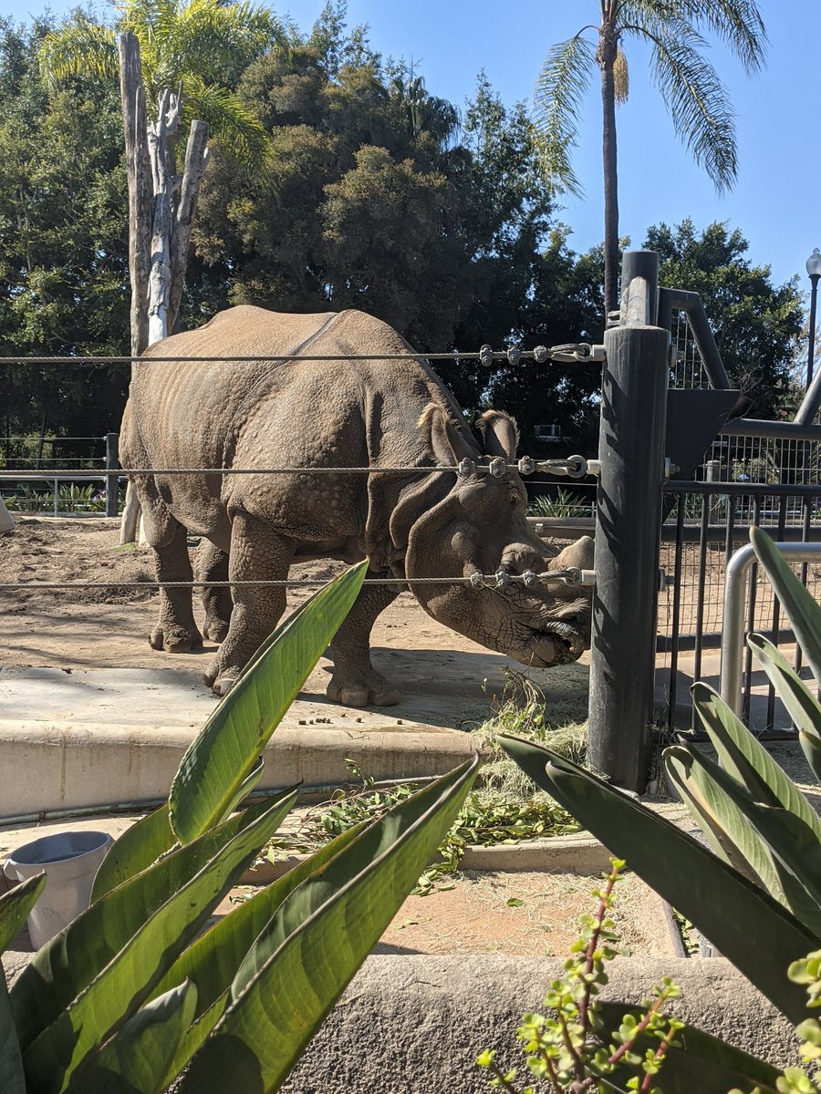 Meredith Patrick tweet media