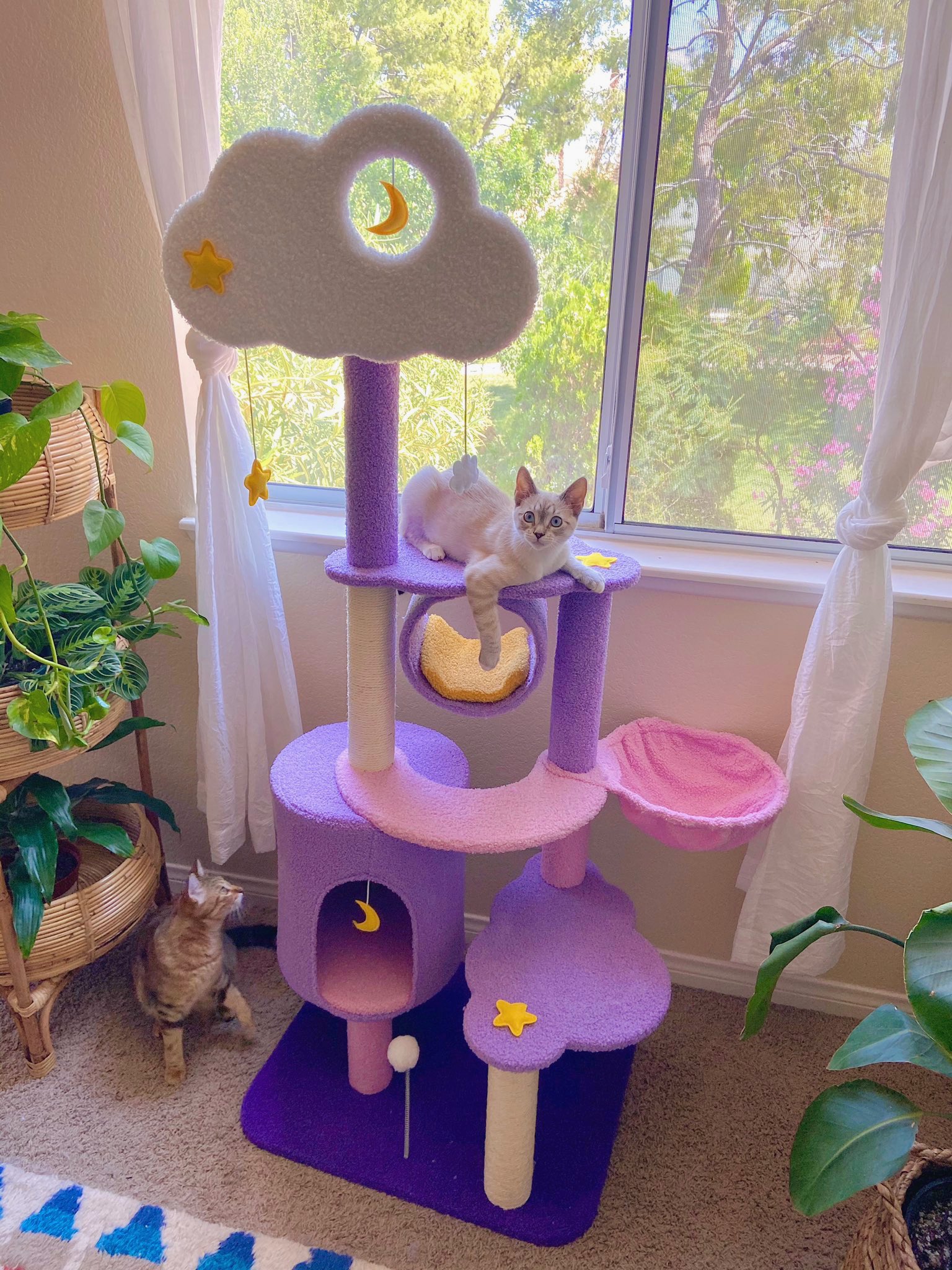 ˏˋ ciara ˎˊ˗ on X: "Look at this magical girl cat tree 🥺💕  https://t.co/8gdkomprfM" / X