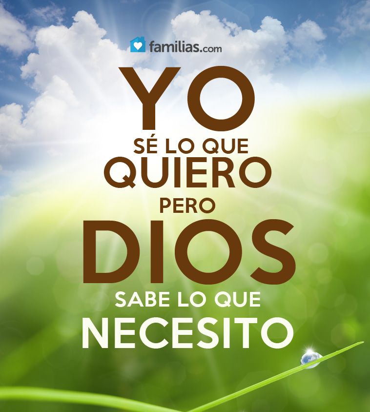 Miguel Salazar Ureña 🇪🇨🏡⚽🙏🏻 tweet media