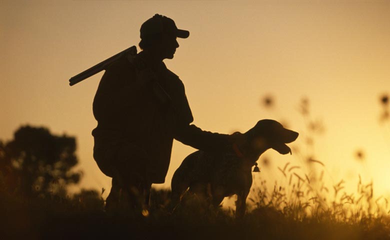 PetCareShopping's tweet image. Hunting season is almost here! Do you take your dogs with you?
#duckhunting #huntingwithdogs #dogs