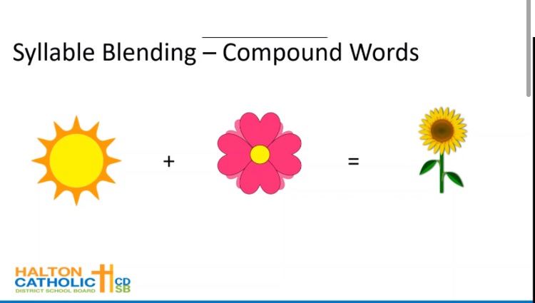 MrsLamers's tweet image. Thank you Mrs. V for teaching us all about phonological awareness this week! Today we practiced with syllable blending and compound words 😊 @HCDSB_SLPs_CDAs #HCDSBSpecEdSummerLearning