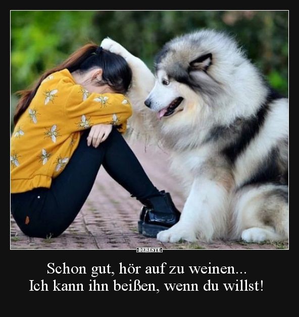 🤣🤣🤣❤️❤️❤️