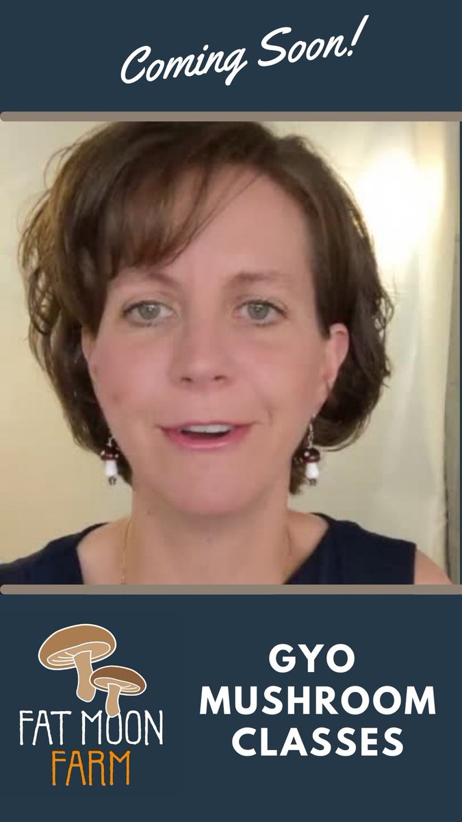 Fall GYO Mushrooms Class Schedule is LIVE! Learn from the #MushroomQueenofBoston. As reported by @bostonglobe #mushrooms are the new #sourdough Offered in partnership with local farms and businesses in greater Boston. Join our family of mycohpiles!   mailchi.mp/c38359712156/g…