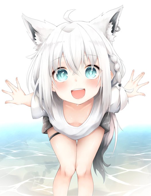 白上フブキはこの世で1番かわいい のイラスト マンガ コスプレ モデル作品 22 件 Twoucan 白上フブキはこの世で1番かわいい のイラスト マンガ コスプレ モデル作品 22 件 Twoucan