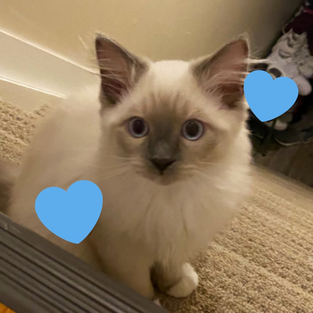 ForensicPath's tweet image. #NewProfilePic