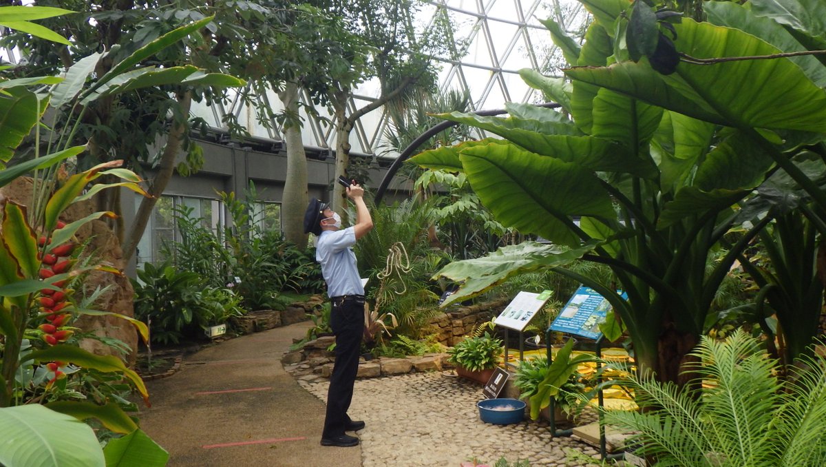 新潟県立植物園 Niigata Bgarden Twitter 新潟県立植物園 Niigata Bgarden Twitter