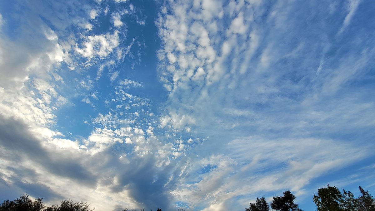 tommegma's tweet photo. Superb skies this evening, finishing off with it looking like the sky was on fire.

@NatashaKOIN6 @JosephForecast 

#weather #sky #sunset #clouds #pnw https://t.co/rvuLDhJbJc