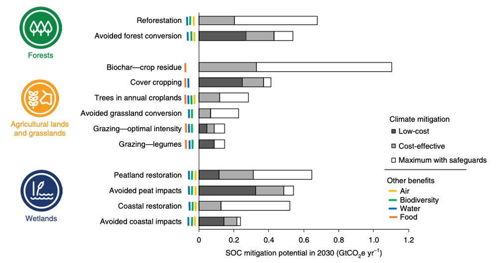 sourjayne's tweet image. Dear economists, and anyone else for whom obvious things are somehow not obvious, avoiding the degradation of forests, peatlands and wetlands is the most low-cost way to mitigate greenhouse gas emissions on a global scale. #multisolving
carbonbrief.org/restoring-soil…