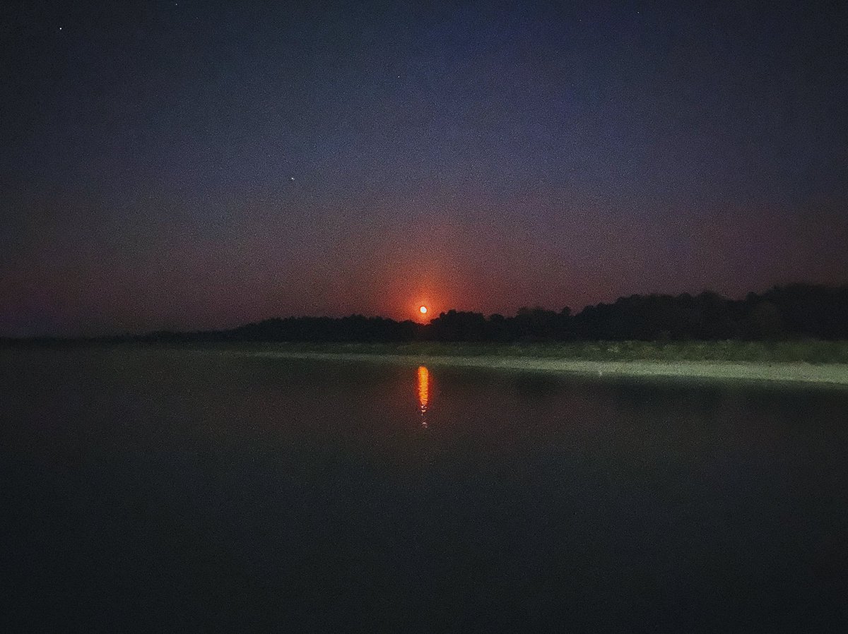 Luke_October's tweet image. 