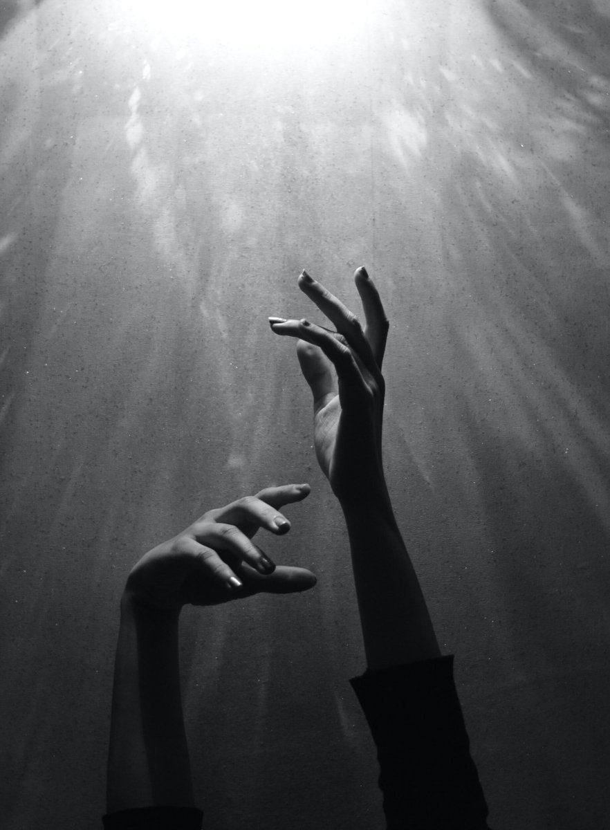 paw_space's tweet photo. “The elusive sweet bird of love is fleeting, like trying to control the way the wind blows, and loss, the bitter taste in my mouth, can be so cold”~Ocean https://t.co/49AMGHqOBt