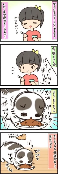 声をかけると、食べる勢いは止まるどころかますます加速!【連載】もふもふスコたん#187|ねこのきもちWEB MAGAZINE https://t.co/mCcsARm03p 