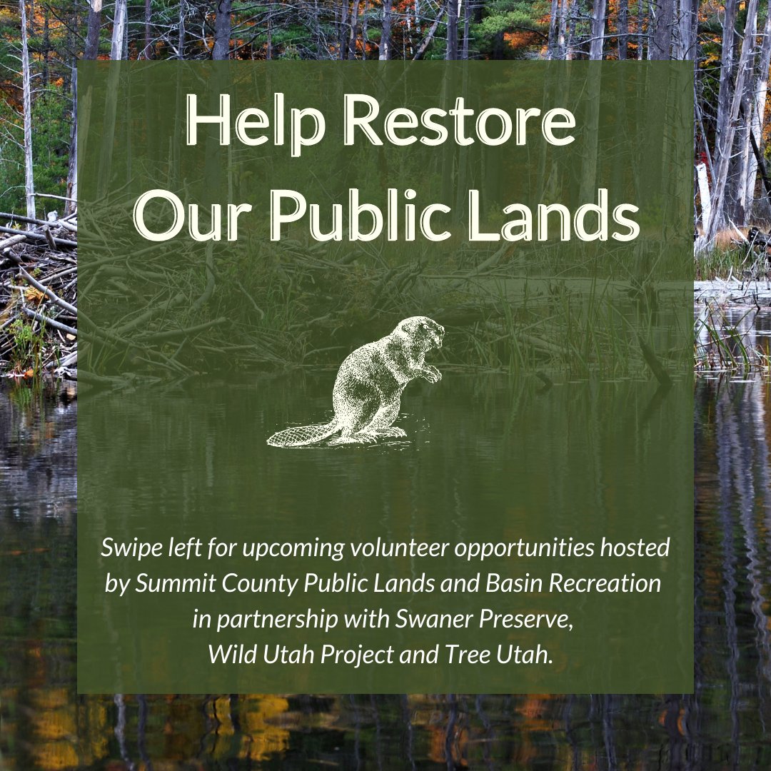 Summit County, Utah (@summitcountyut) on Twitter photo Summit County Public Lands + <a href="/BasinRecreation/">Basin Recreation</a> will be hosting several restoration events in partnership with <a href="/SwanerPreserve/">Swaner Preserve</a> @wildutahproject + <a href="/TreeUtah/">TreeUtah</a>. They will need lots of volunteers! Links here: buff.ly/2WnKNQB for more info on each volunteer opp. + to sign up. Summit County Public Lands + <a href="/BasinRecreation/">Basin Recreation</a> will be hosting several restoration events in partnership with <a href="/SwanerPreserve/">Swaner Preserve</a> @wildutahproject + <a href="/TreeUtah/">TreeUtah</a>. They will need lots of volunteers! Links here: buff.ly/2WnKNQB for more info on each volunteer opp. + to sign up.