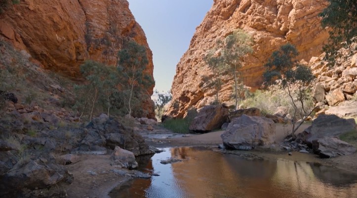 TheRACP's tweet image. Watch video #1 on living and working in #AliceSprings featuring Dr Simon Quilty, Dr Kirsty Neal, Dr Anna Holwell, Dr James Dowler, Dr Stephen Brady and Dr Angela Wilson. racp.edu.au/fellows/specia…