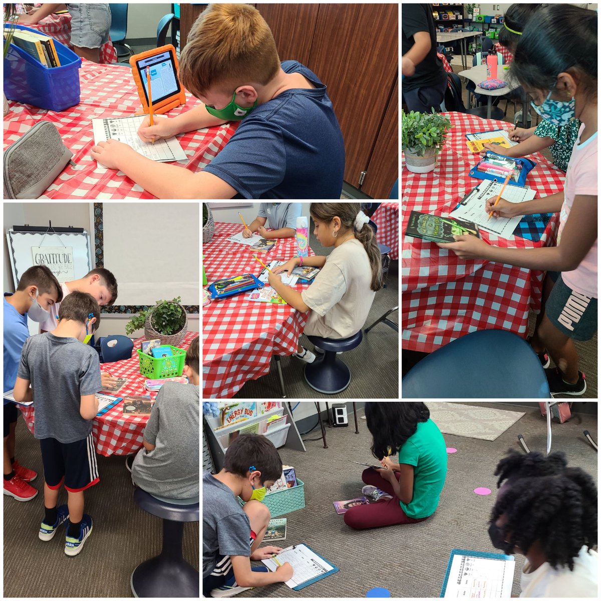 Melissa Thomas tweet media