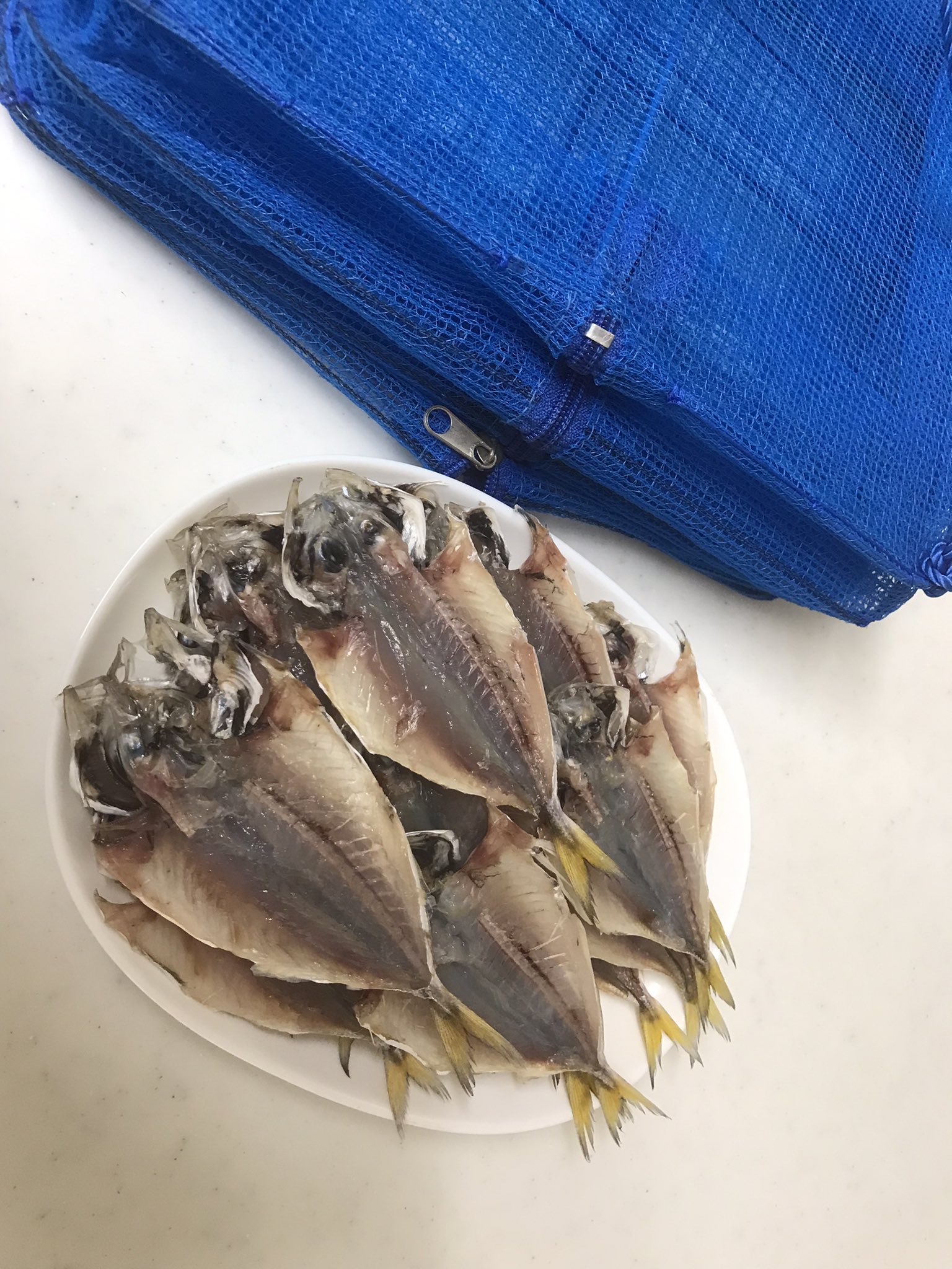 ヨッシーの卵 今日は暑くなるそうなので 気温が上がる前に取込みました 朝日を浴びて良い干し加減です アジの干物レシピ 小アジ36匹 水1ℓ 塩80g 酒100cc みりんcc 付け時間1時間 干し時間5時間程 釣り 干物 豊浜釣り桟橋 アジ
