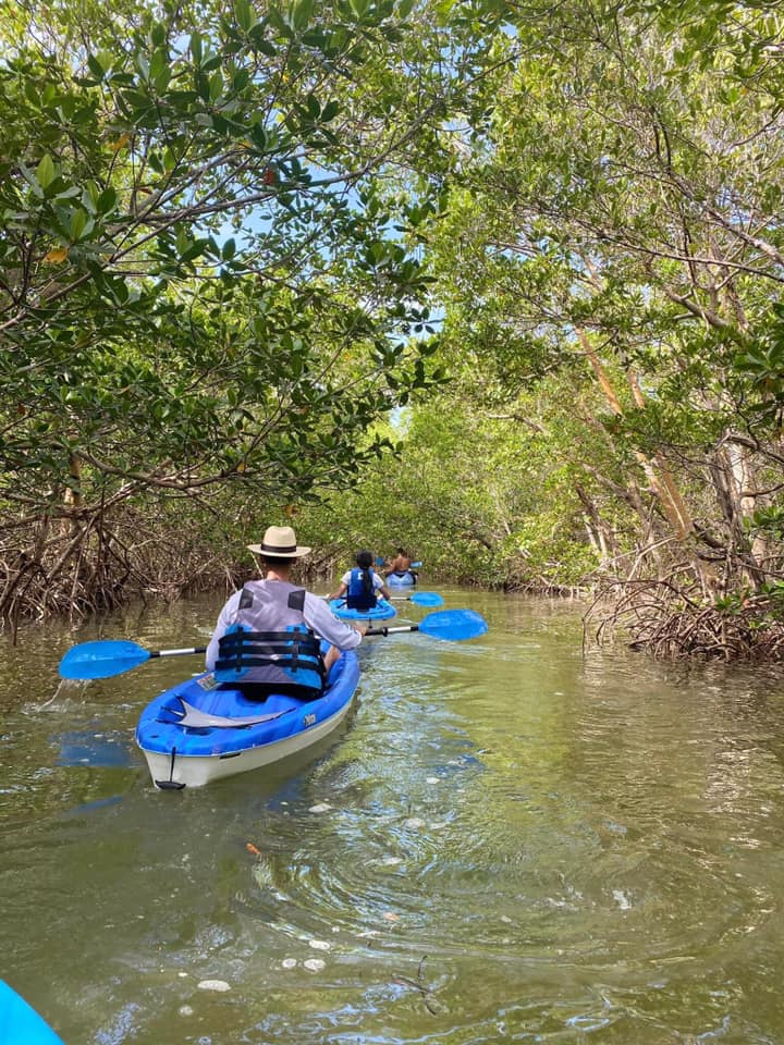 #Sanibel Island and Captiva are kayak paradise, Pine Island Sound Aquatic Preserve, which separates the islands from the mainland is full of fish, dolphins, manatees, ospreys, pelicans, herons and even otters.  #casaybelresort