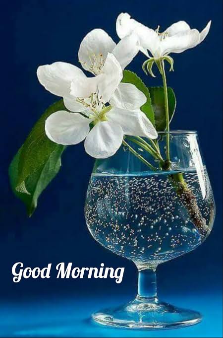 Nafees Choudhary (@nafees_ch7373) on Twitter photo 