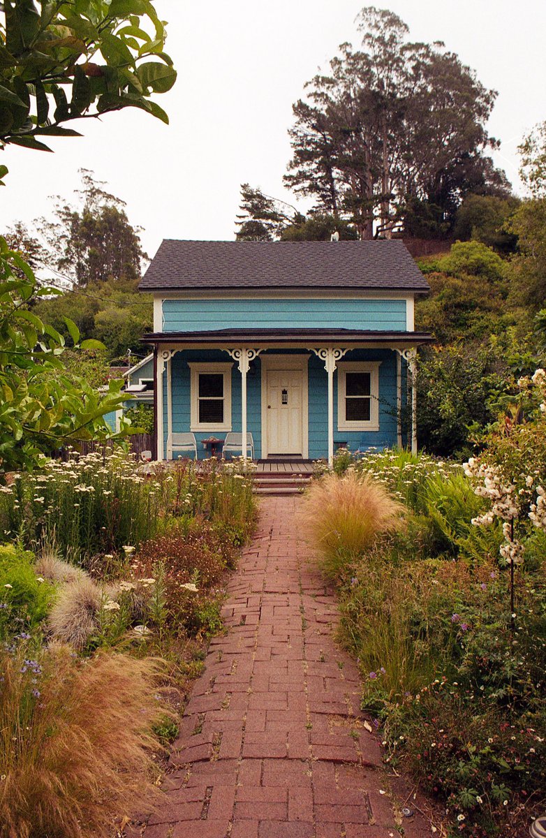 kviii_anderson's tweet photo. scenes from bolinas // #35mm #filmphotography https://t.co/p3ebMbGlP7