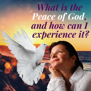 Lisa Lewolt tweet media