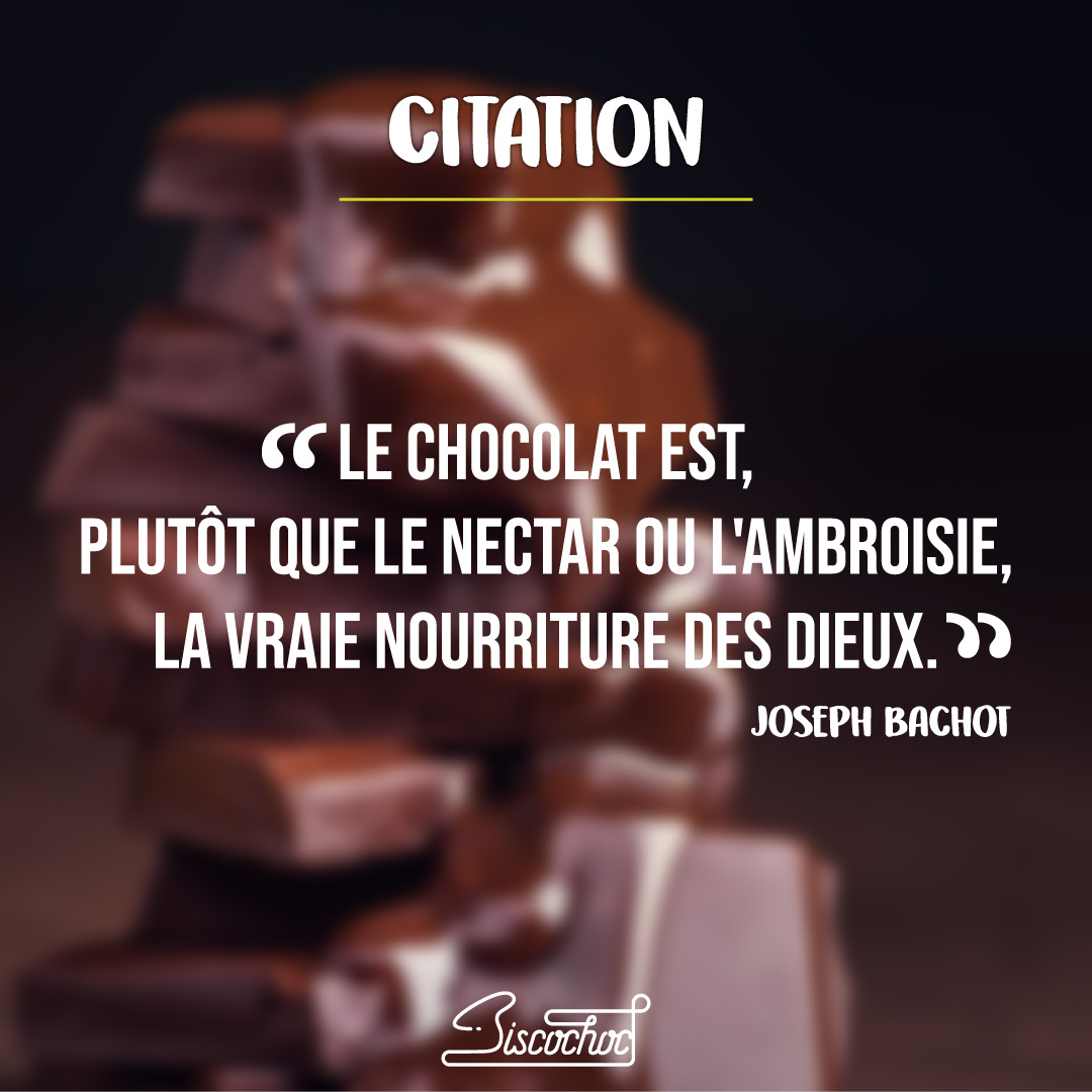 Biscochoc (@biscochoc_nc) on Twitter photo 