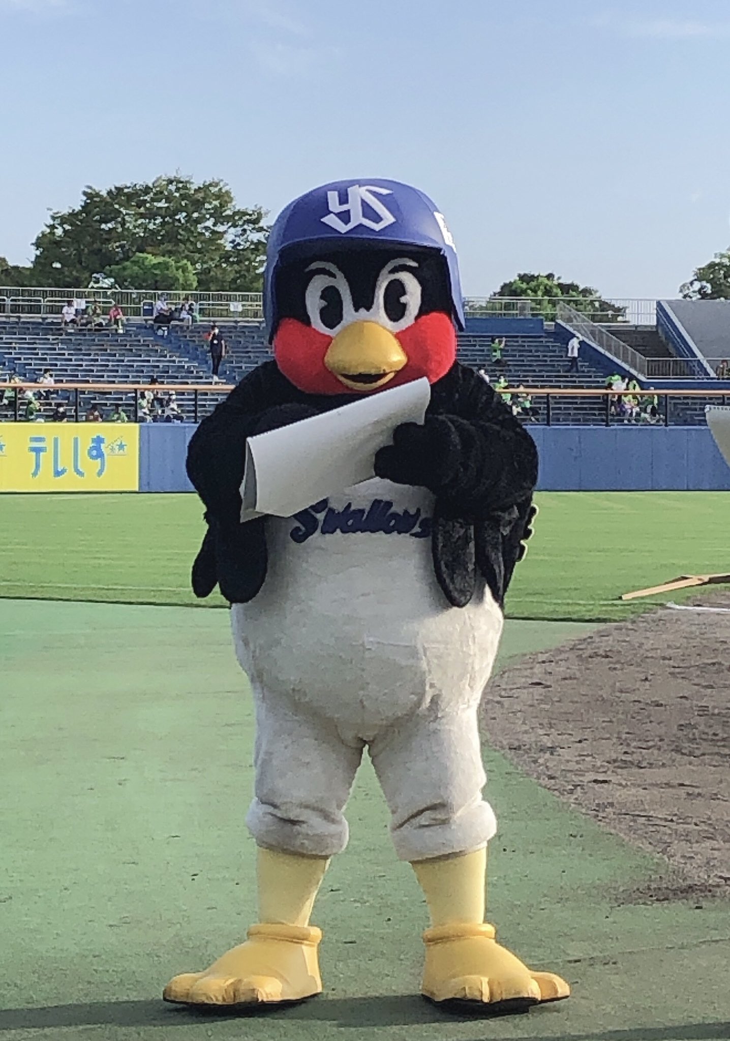 東京ヤクルトスワローズ　つば九郎　支配鳥 東京ヤクルトスワローズ グッズセット つば九郎・支配鳥 - メルカリ