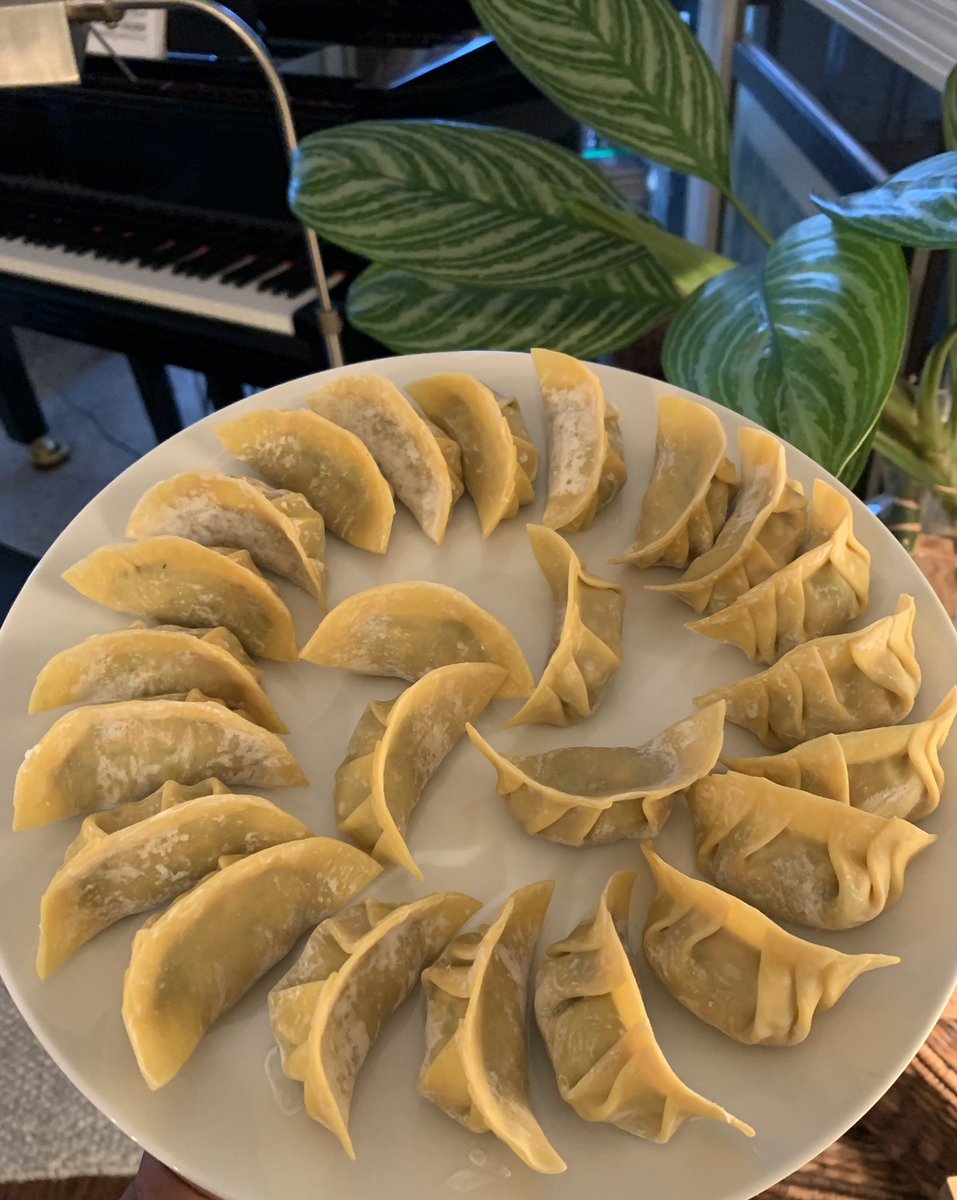 FarNiente2000's tweet photo. Lamb, cumin, cilantro, scallion, white pepper dumplings. Because cooking like life is a continuous adventure! ๐ #dumplings #lambdumplings #cuminlamb #westernchinesecuisine https://t.co/lpbKiIdQlg