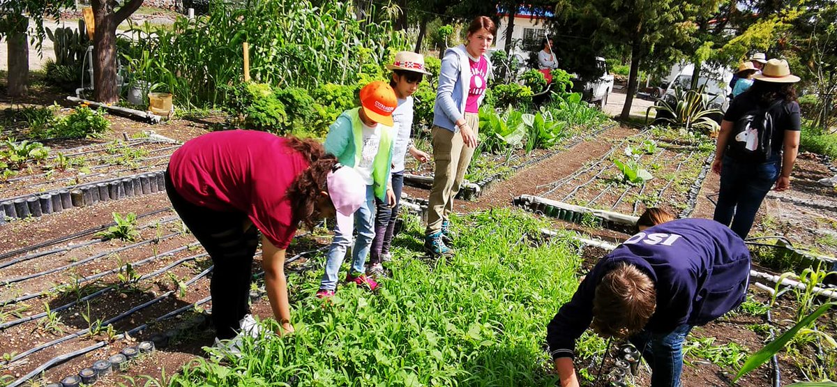 Kybernus's tweet photo. El principal objetivo de Gabriela Lucas Deecke, es contribuir al bienestar de las familias, sobre todo, en el medio rural; y sus herramientas centrales son las prácticas agroecológicas regenerativas.
#TuLiderazgoImporta
#XAñosImpulsandoLíderes
#CIASPE https://t.co/cSUmQu4CRV
