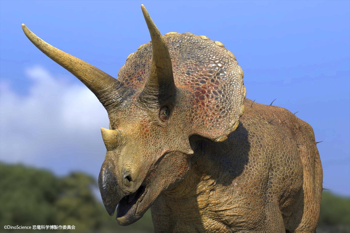 DinoScience_jpn's tweet photo. 昨日に続き今日はトリケラトプスのCGモデルをご紹介✨

科学的根拠と生物らしいリアリティに徹底的にこだわった恐竜くん @perfect_stan の全力監修により、何度も作り直し辿り着いたこのクオリティー…

このトリケラトプスが、実物大で生き生きと活躍する「白亜紀体験シアター」をぜひお見逃しなく🦕 https://t.co/9aG4OMuPJB
