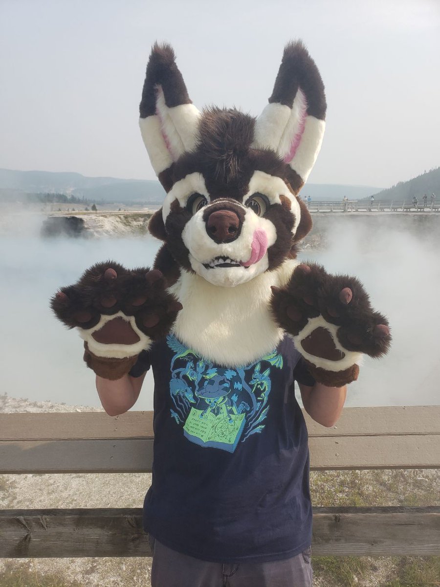 CreamyMayMays's tweet photo. Yellowstone trip. The Park rangers/staff loved him. The Normies gave me the stink eye 🤣 https://t.co/fNYln5qxax