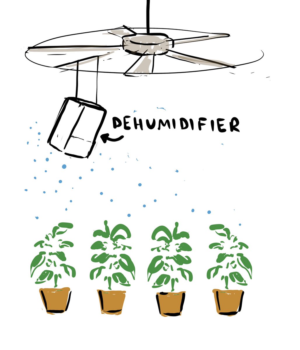 is it possible to get my dehumidifier to water my houseplants I do not have a firm grasp on physics but have sketched what I have in my mind, with it strapped to a ceiling fan