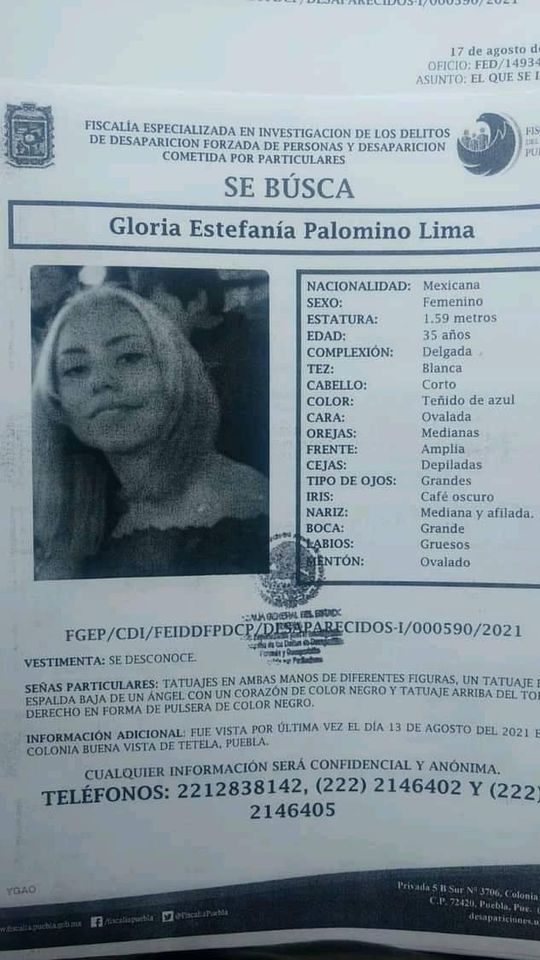 JCarlos_Valerio's tweet photo. #ServicioSocial Se busca a Gloria Estefanía Palomino Lima, fue vista por última vez el 13 de agosto en la colonia Buena Vista Tetela. Si sabe de su paradero llamar al 2212838142. #Puebla https://t.co/XT2FDUk3wN