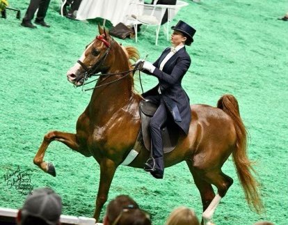 SCPS College and Career Education tweet media