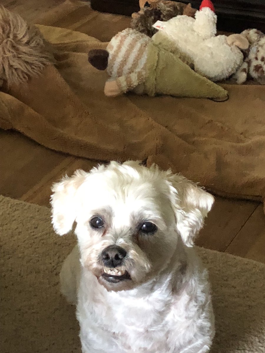 A less ferocious pic 😁
