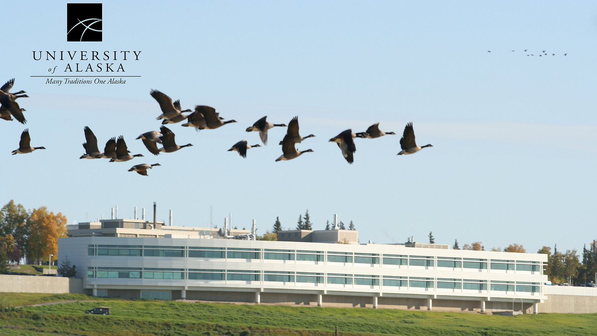 UA_System's tweet image. Good news from Gov. Dunleavy about funding the Alaska Performance Scholarship, Alaska Education Grant, and the Washington, Wyoming, Alaska, Montana, Idaho medical education [WWAMI] programs. Our students can be assured of funding for their education.
alaska.edu/pres/communica…