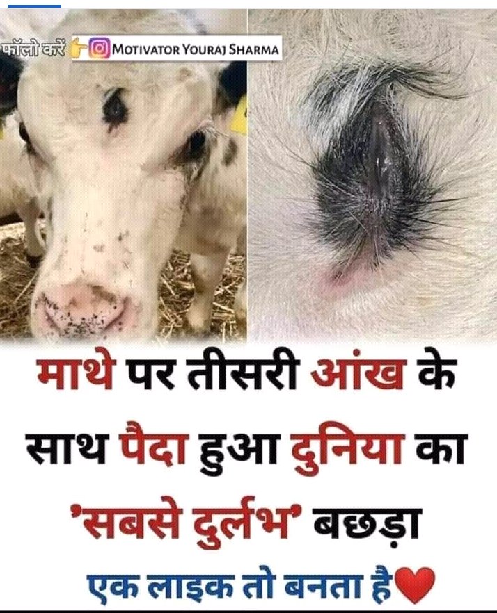 जय शिव शंकर 
  हर हर महादेव सभी मित्रों को 
भोलेनाथ की जय हो  🙏🙏🙏🙏