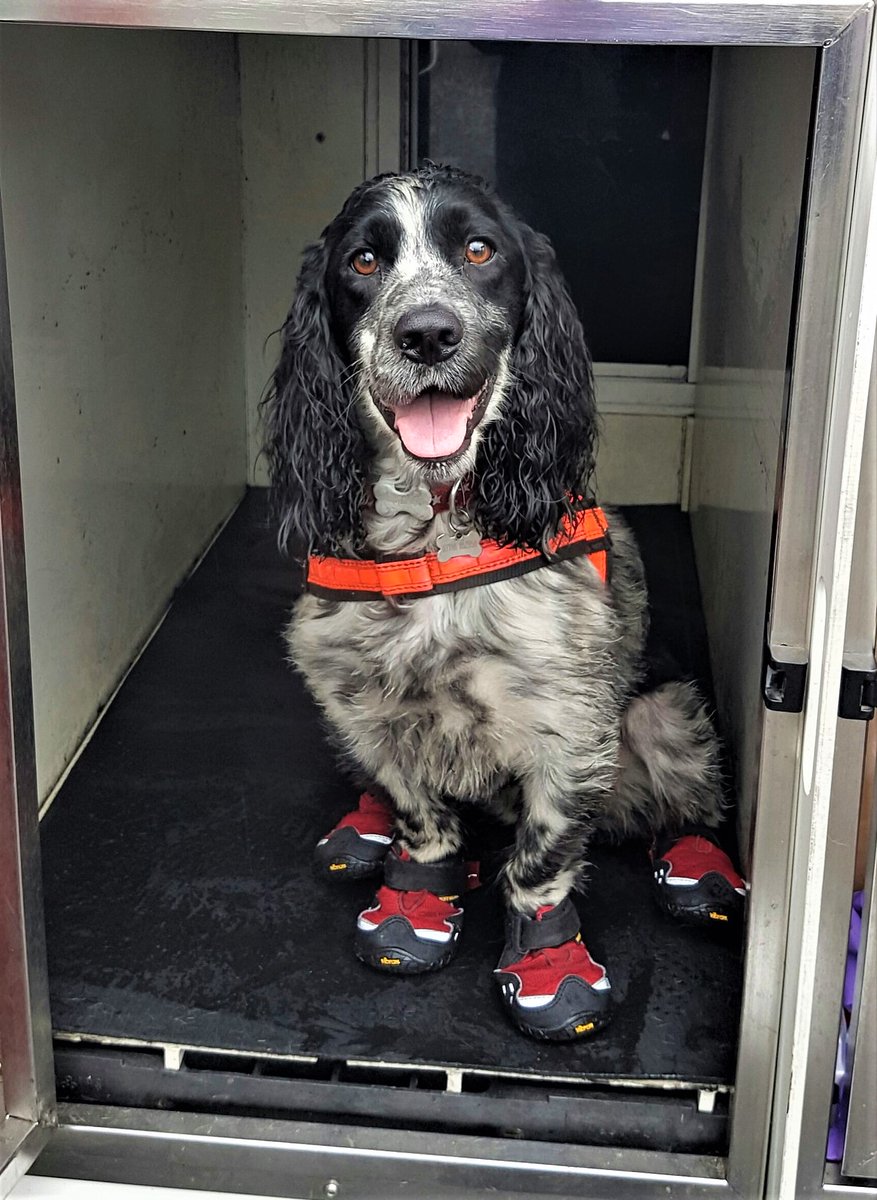 Nottinghamshire Fire and Rescue Service tweet media