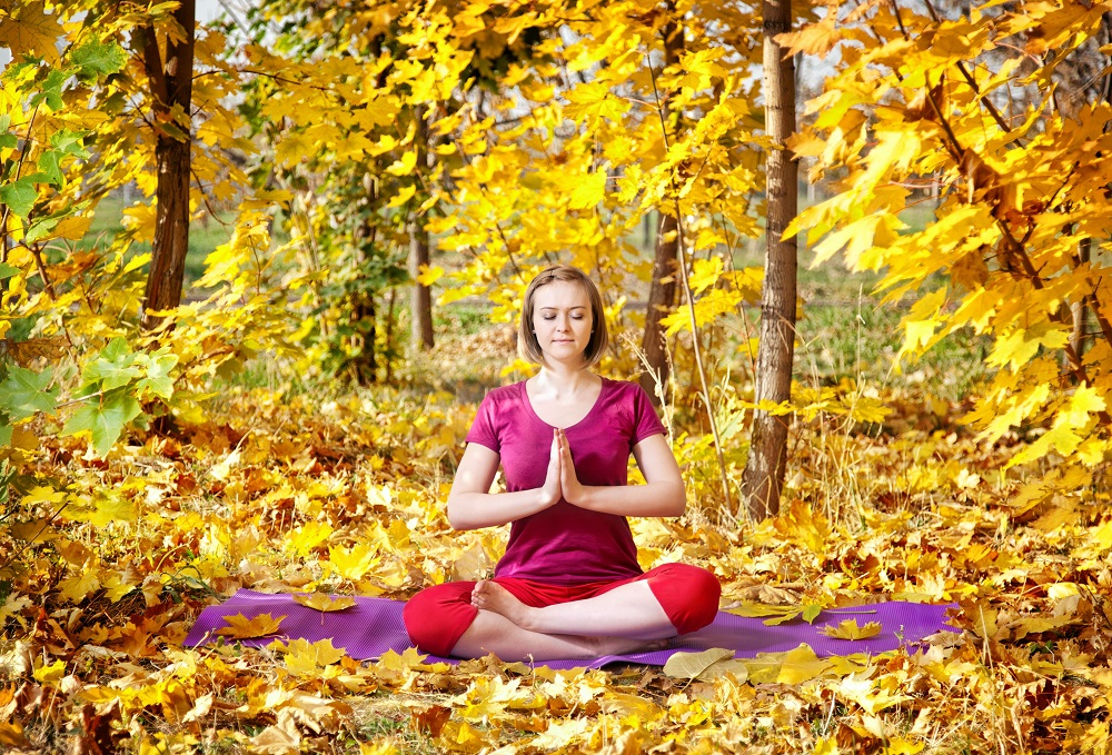 World_Jungle's tweet photo. Autumn Classes - https://t.co/aznbEbUUN7 https://t.co/lZkQfVab5X