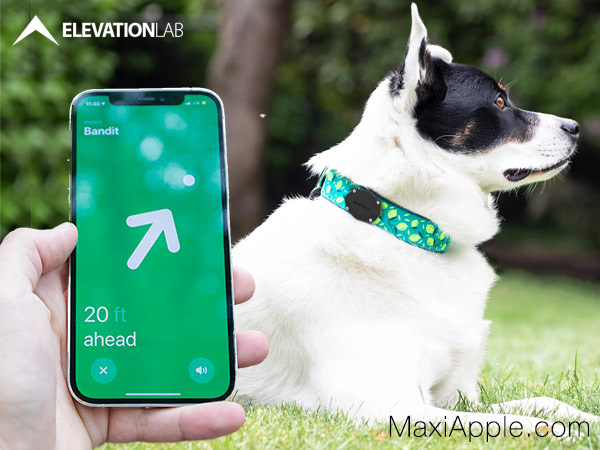 MaxiApple's tweet photo. Étui TagVault @ElevationLab Pour Utiliser l’AirTag Sur le Collier ou le Harnais de Votre Chien Ou Chat et Savoir Où Il Se Trouve. 😻😅

#dogs #cats #TagVault #accessories #technology #airtag #pets #iPhone #tracker #maxiapple

https://t.co/7NB3B8VszJ https://t.co/AveDvIKSTP