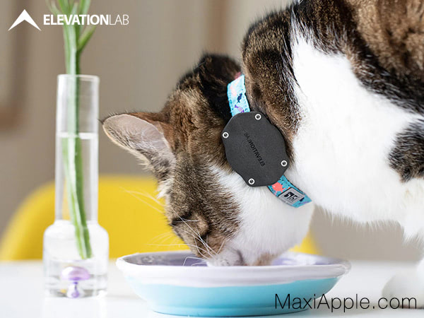 MaxiApple's tweet photo. Étui TagVault @ElevationLab Pour Utiliser l’AirTag Sur le Collier ou le Harnais de Votre Chien Ou Chat et Savoir Où Il Se Trouve. 😻😅

#dogs #cats #TagVault #accessories #technology #airtag #pets #iPhone #tracker #maxiapple

https://t.co/7NB3B8VszJ https://t.co/AveDvIKSTP