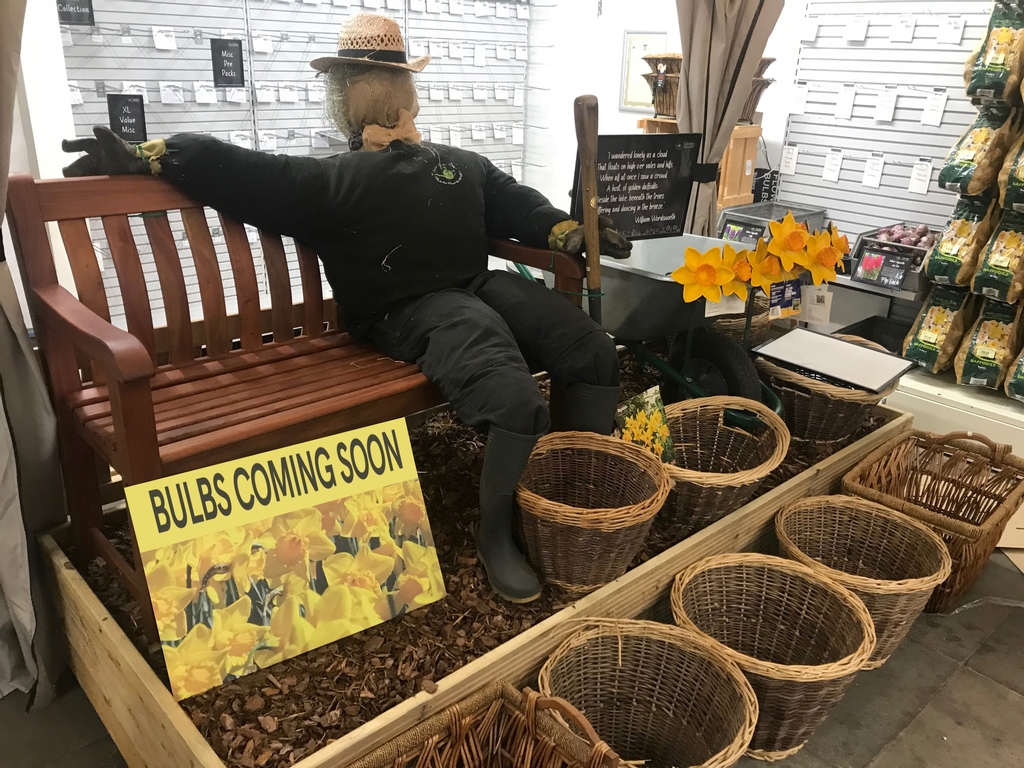 camdengardencen's tweet photo. Baskets of Spring Flowering Bulbs! Coming to a Camden Garden Centre near you. Soon
Stay in soil. >Grow plants. >Healthy lives.
Thank you.
#camdengardencentre #springflowering #daffodils #crocus #croci #tulips hyacinth #spring #flowers #weareopen #staysafe #gardening #gardencentre https://t.co/agPTH0Y1lc
