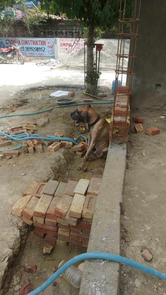 ParthwaP's tweet photo. @noida_authority @CeoNoida  Pls raise this to the concerned if possible and arrange an aid https://t.co/FSGXEgQxo7
