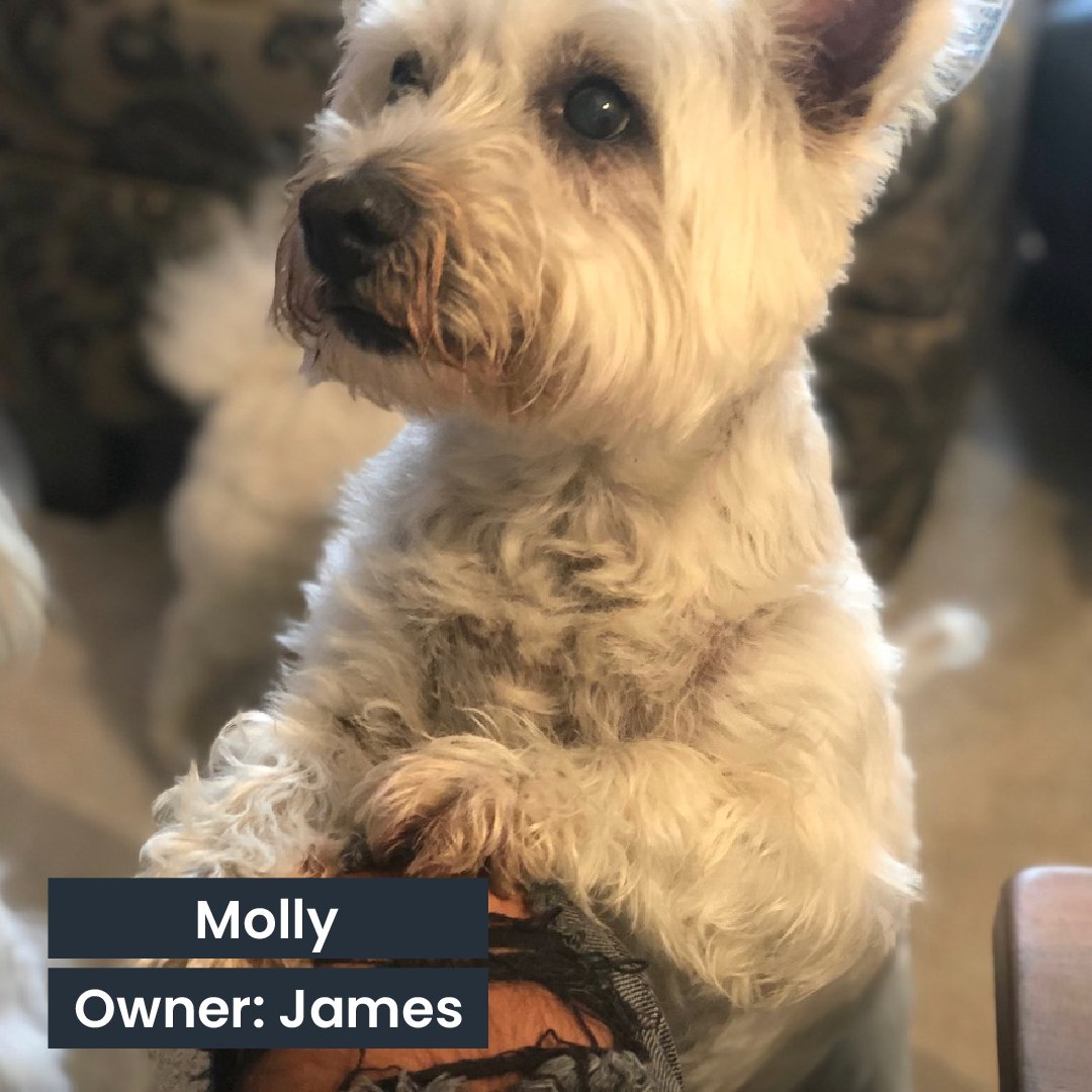 Eon Visual Media tweet media