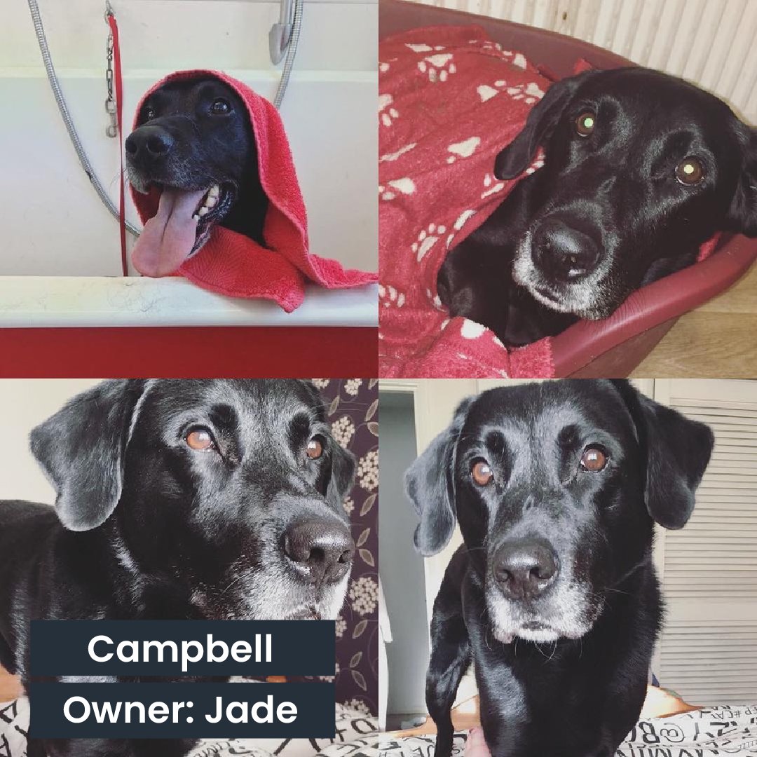 Eon Visual Media tweet media