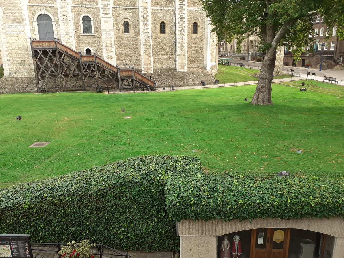 ExBeefeaterDave's tweet image. @Williams76David I think you need to re-program #RoboChop
The #UnionFlag 🇬🇧 design on the South Lawn isn&apos;t really working 😉🤣